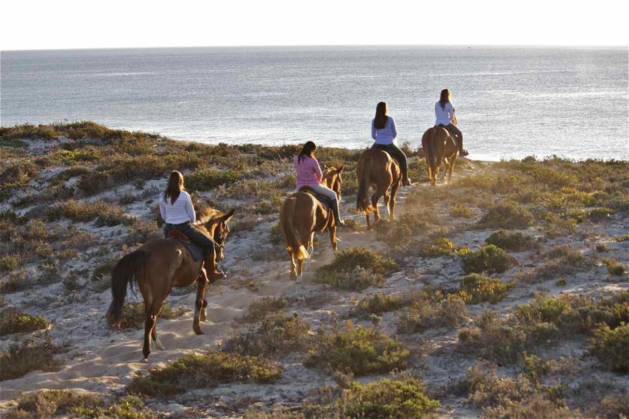 Monte Dos Passarinhos Villa Grandola Luaran gambar